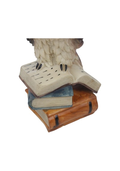 Feng Shui Kitap Üzerinde Bilge Baykuş Biblo 23 Cm Dekoratif Şans Getiren Lüks Ev Ofis Hediyesi Obje