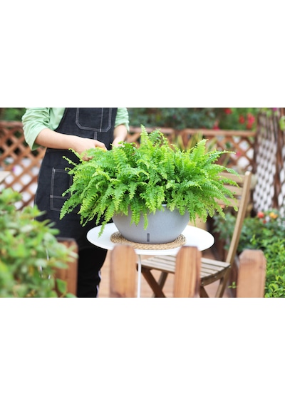 Kendinden Sulamalı Yuvarlak Bahçe Tipi Akıllı Saksı 34.5 X 18.5 X 34.5cm
