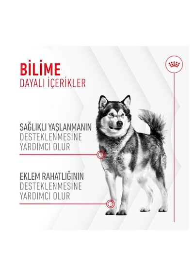 Joint&ageing Chews Eklem Ve Sağlıklı Yaşlanmayı Destekleyen Tamamlayıcı Ödül Maması 240g