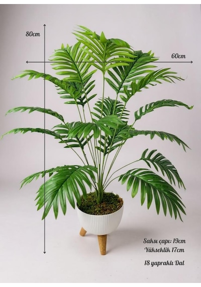 Yapay Çiçek Salon Bitkisi Areka 80cm 18 Yaprak Beyaz Zigon Saksıda Yeşil