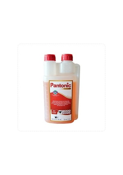 Pantonic Aminoasit ve Multivitamin 1 Litre