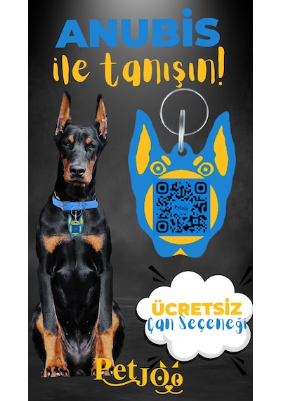 Petjoo 30.Anubis Sarı-Mavi Qr'lı Köpek Künyesi