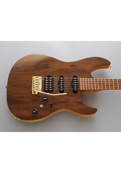 Fujigen Odyssey Elektro Gitar Eos2duew2rm/vnt