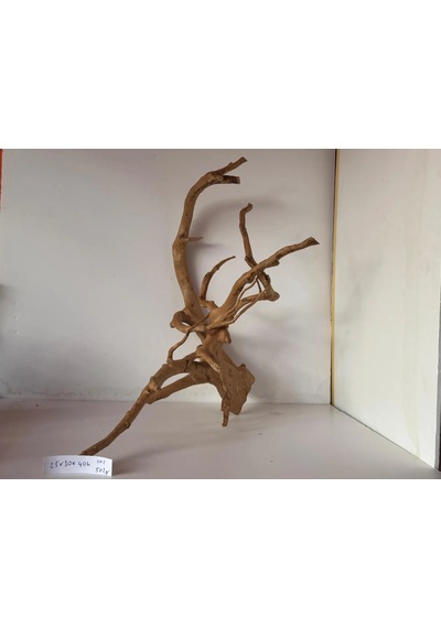 Yati Kökü No:101 25x30x40h