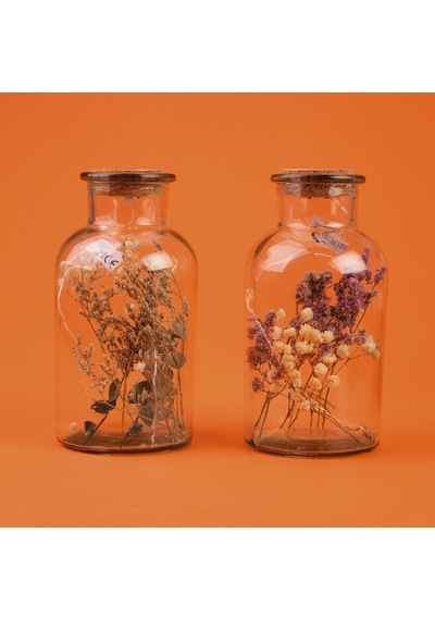 Casa Ledli Şişe - Asorti - 21 Cm