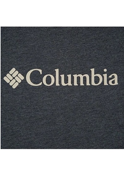 Columbia CSC M Basıc Bıg Logo Brushed SS Tee Erkek Tişört Gri CS0 Gri