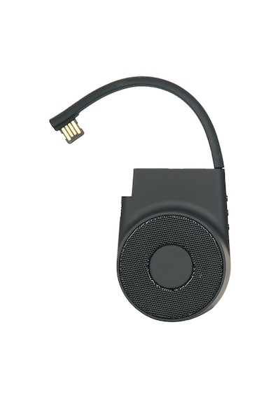 Speaker