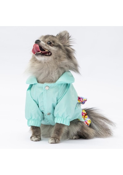 Mint Victoria Köpek Mont Köpek Yağmurluk Köpek Kıyafeti Köpek Elbisesi Mint Victoria Köpek Mont Köpek Yağmurluk Köpek Kıyafeti Köpek Elbisesi