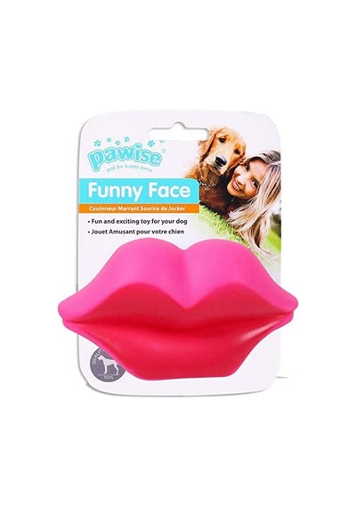 Pawise Vinyl Toy-lip Köpek Oyuncağı