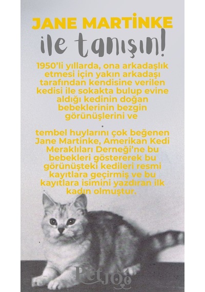 Petjoo 5.Jane Martinke Gri-Sarı Qr'lı Kedi Künyesi