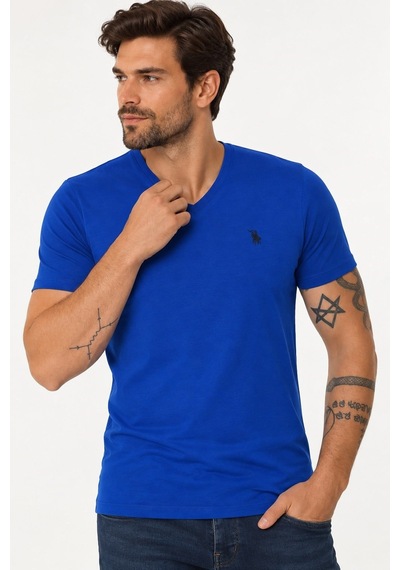 T9568 Dewberry V Yaka Erkek T-shırt-saks Mavisi