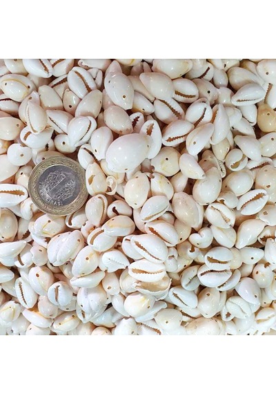 Cyprea Annulus Delikli Kavrulmuş Deniz Kabuğu 100 Gr