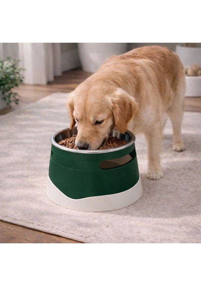 İsime Özel Yükseltilmiş Köpek Mama Kabı Paslanmaz Çelik Hazne, Ergonomik Tasarım