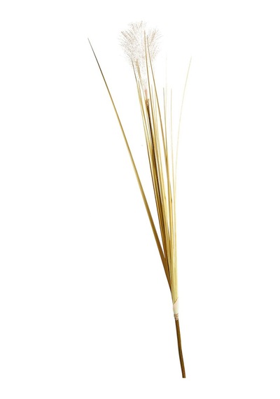 Pasabahce Bulrush 119 Cm Krem - 1 Adet