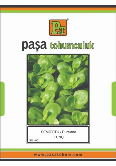 Semizotu Tunç 10 Gr