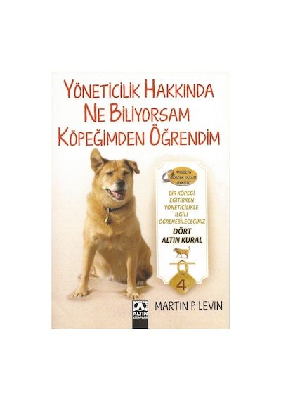 Yöneticilik Hakkında Ne Biliyorsam Köpeğimden Öğrendim