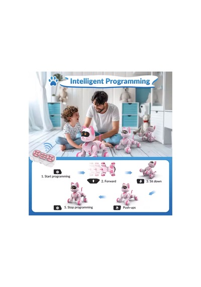 Uzaktan Kumandalı Ses Kontrollü Programlanabilir Akıllı Robot Kedi