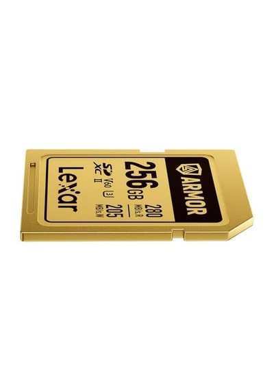 Profesyonel Gold 256gb Uhs-ıı V60 Sdxc Hafıza Kartı Açık Mavi