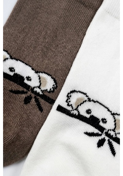 Cocole Socks Çocuk Patik Çorabı 2 Li Set Pamuklu Ekru & Kahverengi Koala Desenli Çok Renkli