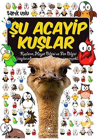 Mercankitap Şu Acayip Kuşlar / Tarık Uslu