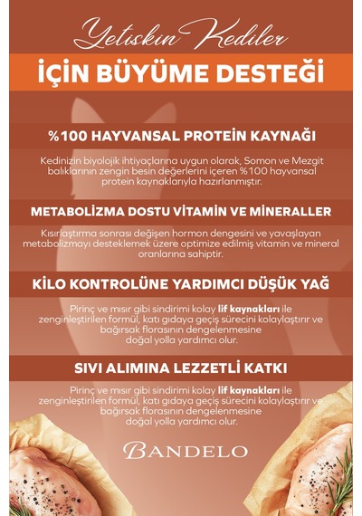 Somonlu Kısırlaştırılmış Yetişkin Kedi Yaş Maması - Jöle İçinde Parça Etli, 85 Gr X 24 Adet