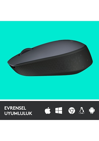 Logıtech M170 Kablosuz Siyah Mouse