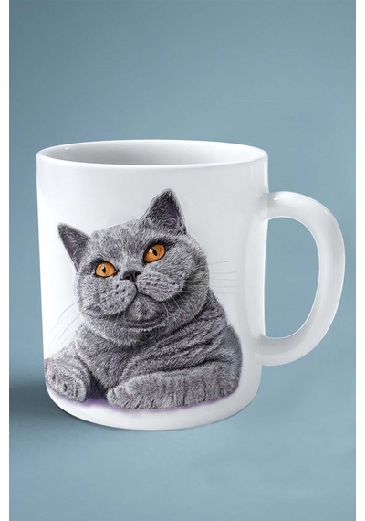 British Shorthairt Kedi İsimli Kişiye Özel Baskılı Kupa Bardak Tüy Çok Renkli