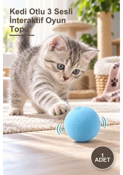 1 Adet Kedi Otlu 3 Sesli İnteraktif Oyun Topu