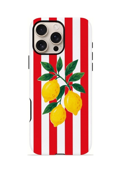 iPhone Uyumlu16 Pro Max Valestra Çift Katmanlı Magsafe Kılıf Liodor