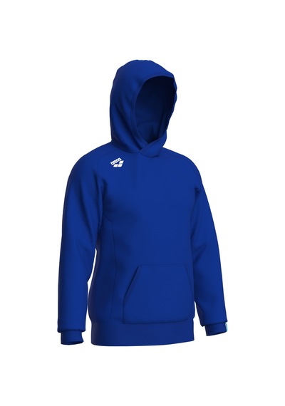 Arena Team Hooded Sweat Panel Unusex Kapşonlu Mavi