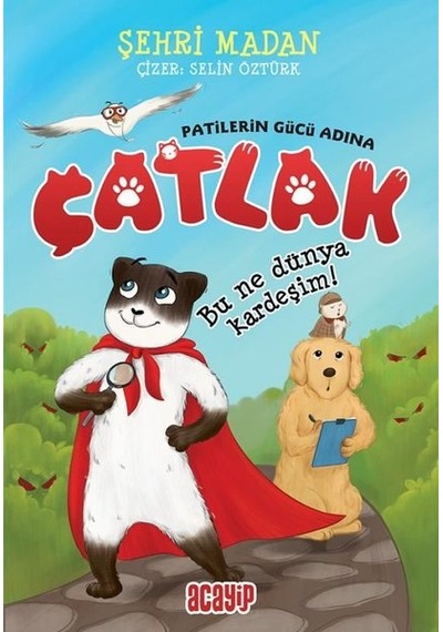 Çatlak! Patilerin Gücü Adına - Bu Ne Dünya Kardeşim - Şehri Madan - Acayip