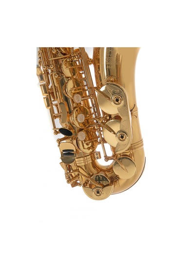 Roy Benson As-202 Alto Saksafon Başlangıç/eğitim - Eb Alto Pi
