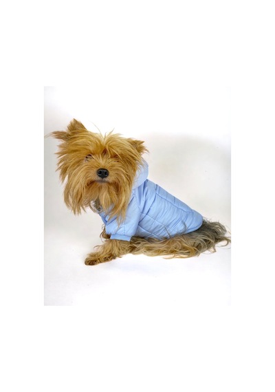 Baby Blue Comfy Köpek Montu, Köpek Ceketi, Köpek Dış Giyim