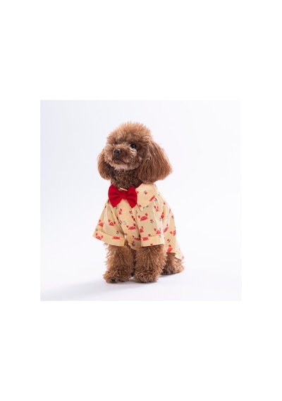 Coral Charm Kedi Köpek Gömleği - Kedi Köpek Kıyafeti-kedi Gömlek-köpek Gömlek