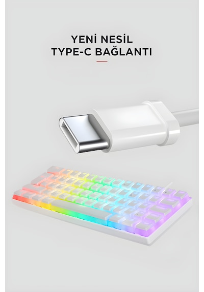 Briar Type-c Bağlantılı Rgb Puding Tuşlu Mekanik Red Switch Türkçe
