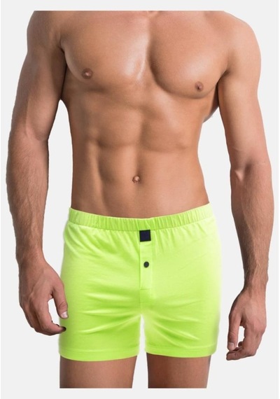 The Don Fıstık Yeşili Renk Jersey Penye/Örme Erkek Boxer