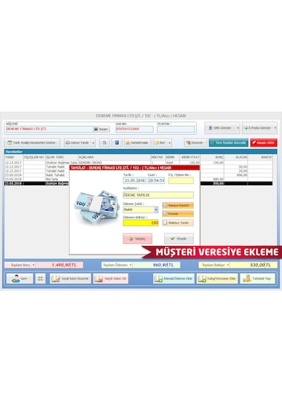 Demirsoft Ön Muhasebe Programı (466222612)