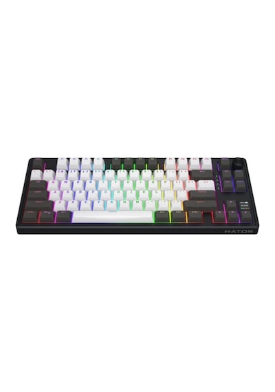 Skyfall Pro Wireless Grey-black %80 Aurum Vanilla Silent Sw Rgb Kablosuz Klavye Htk4180