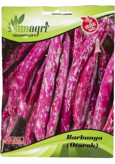 Barbunya Oturak Sebze Tohumu