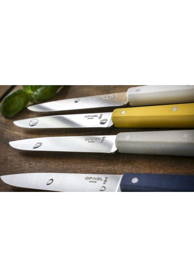 Opinel Bon Appetit Celeste 4 Parça Paslanmaz Sofra Bıçağı OP-002040 Çok Renkli