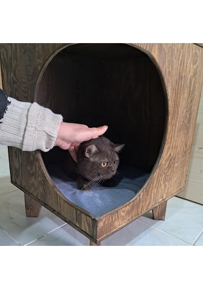 Dekoratif Ahşap Kedi Evi Ve Yan Sehpa