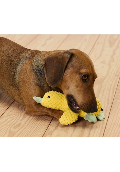 Pelüş Köpek Oyuncağı Küçük Ördek
