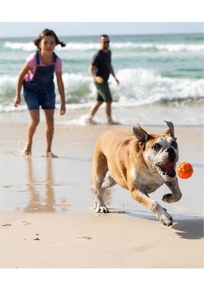 Waboba Tailwind Köpek Oyuncağı Top