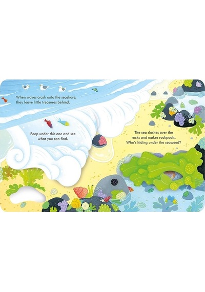 Peep Inside the Seashore- Usborne