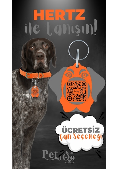 Petjoo 26.Hertz Gri-Turuncu Qr'lı Köpek Künyesi
