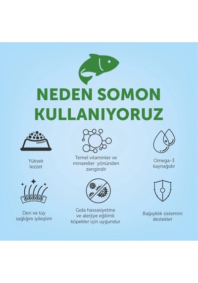 Nature's Protection Ekstra Somonlu Yetişkin Köpek Maması 18kg