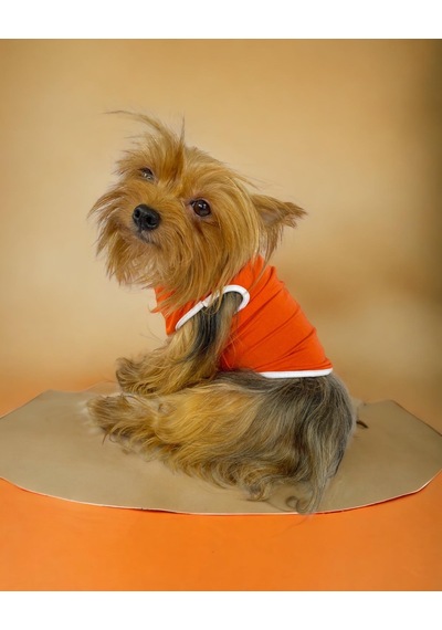 Kemique Basic Orange Atlet Köpek Kıyafeti Köpek Elbisesi