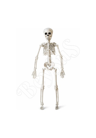 Cadılar Bayramı Halloween İskelet Şekil Alabilen 40 Cm Tüm Yaşlar