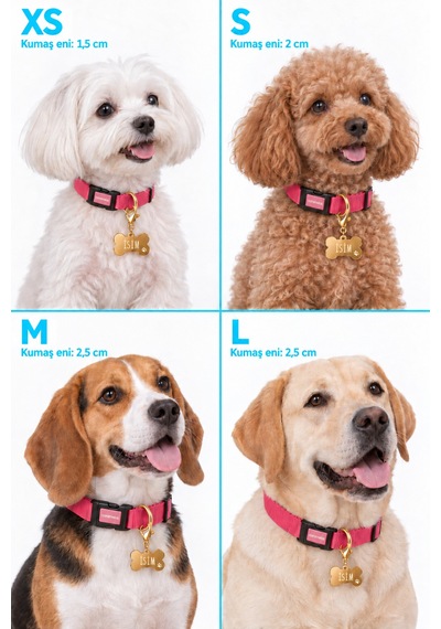 Caramelos İsimli Köpek Tasması, Ayarlanabilir Yavru, Mini, Orta Ve Büyük Irk Köpek Tasması, Pembe