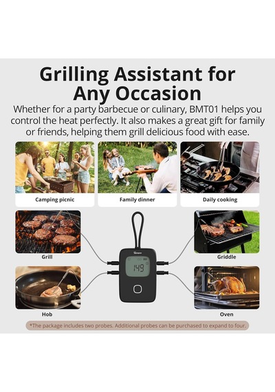 Akıllı Bbq Et Termometresi Bmt01